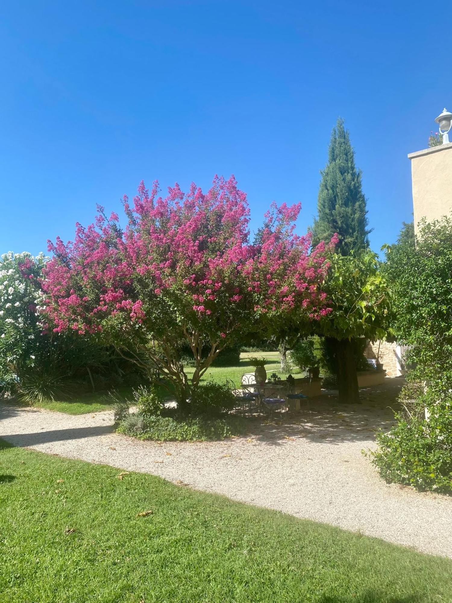 Mas Les Fleurs D'Hilaire Bed & Breakfast Monteux Exterior foto